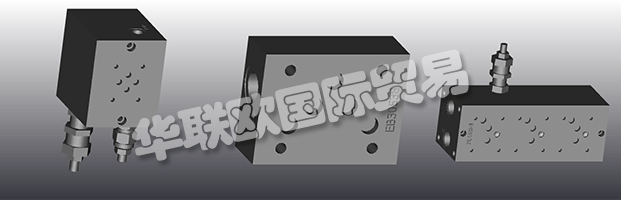 EUROFLUID Hydraulic是一家大型公司，專(zhuān)門(mén)生產(chǎn)液壓設(shè)備的歧管。