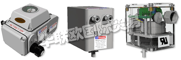 因此被視為AUTOFLAME公司和質(zhì)量管理體系的主要目標(biāo)。