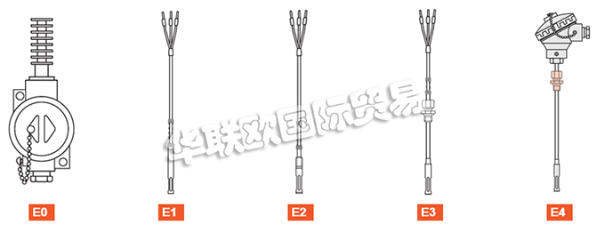 ELSI探頭、ELSI溫度計、熱電阻、熱電偶、熱電偶探頭、電阻溫度計探頭、溫度變送器、便攜式溫度計、滑動法蘭、電子溫度計連接頭、滑動螺紋配件。