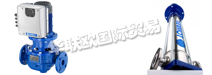 意大利LOWARA是一家專門生產(chǎn)不銹鋼泵的公司，他們提供的產(chǎn)品有：意大利LOWARA泵,、LOWARA水泵、循環(huán)器、端吸泵、多級泵、直列式泵、濕轉(zhuǎn)子循環(huán)器、變速泵、冷凝泵、自吸泵、潛水鉆孔泵、潛水污水和污水泵、潛水式脫水泵、外圍泵、泵控制器、驅(qū)動器、變頻器、控制器、壓力開關(guān)控制器。