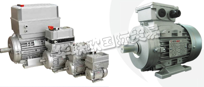意大利BERMAR公司的主要產(chǎn)品包括：意大利BERMAR電機(jī)、BERMAR電動(dòng)機(jī)、異步電機(jī)、異步電動(dòng)機(jī)、永磁發(fā)動(dòng)機(jī)、逆變器、伺服通風(fēng)電動(dòng)機(jī)、伺服電動(dòng)機(jī)、工業(yè)洗衣機(jī)電動(dòng)機(jī)、單相電動(dòng)機(jī)、DRIVEJET鼓風(fēng)機(jī)、高效電機(jī)、泵、風(fēng)扇、工業(yè)壓縮機(jī)。